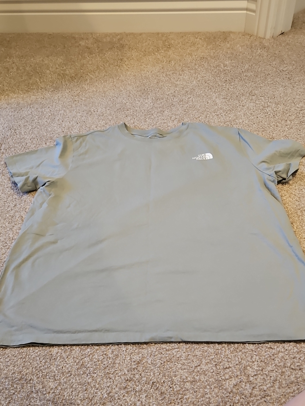 The North Face Men's Short-Sleeve Tee in Sage Green